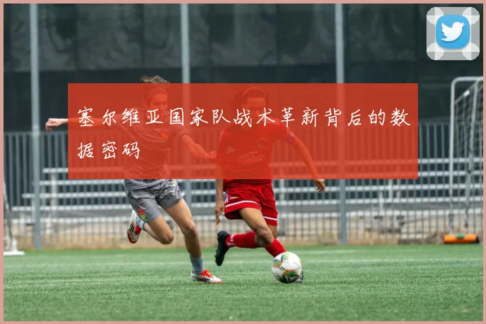 塞尔维亚国家队战术革新背后的数据密码